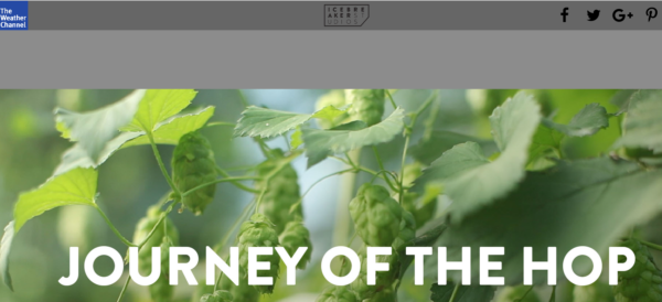 journey-of-hop