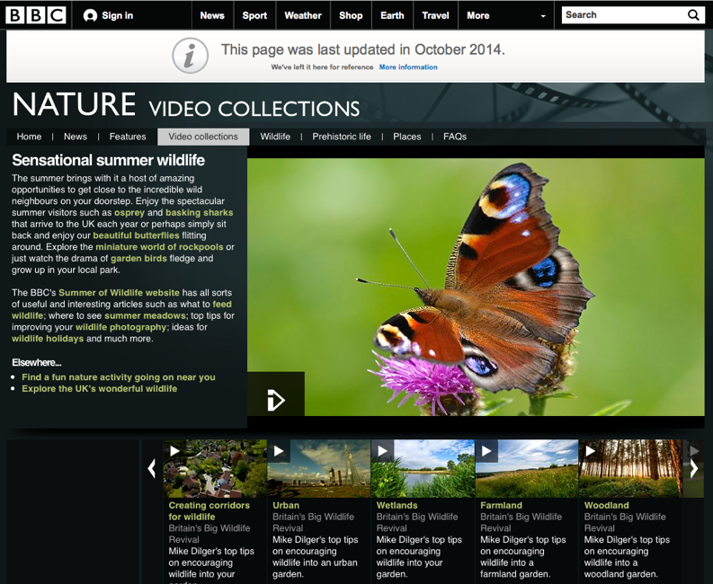 sensational-summer-wildlife
