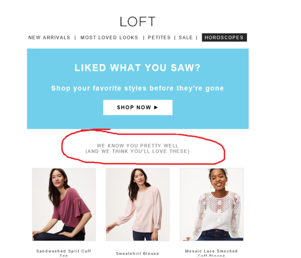 ann-taylor-loft-example