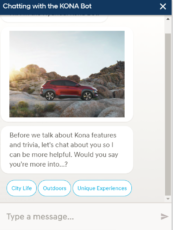 hyundai-kona-bot