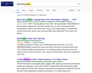 google-search-results-example