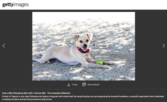 getty-images-amanda-foundation