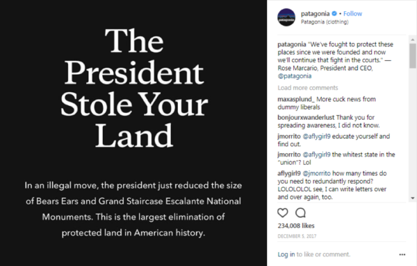 patagonia-stance-taking-example