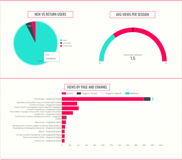 The executive dashboard also includes charts and graphs for new vs. returning users, and average views per session.